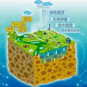 ȫн輼̵